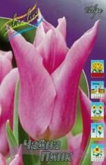 Тюльпан Чайна Пинк (China Pink) лилиецветный, 10 шт.(I)