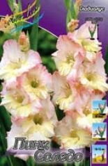 Гладиолус ПИНК СОЛЕДО (PINK SOLEDO), 8 шт.