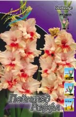 Гладиолус ПЕЙНТЕД ФРИЗЗЛС (PAINTED FRIZZLES), 8 шт. (I)