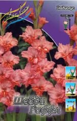 Гладиолус ШЕЙДИ ФРИЗЗЛС (SHADY FRIZZLES), 8 шт. (I)