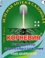 Корневин, 4 гр.