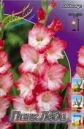 Гладиолус ПИНК ЛЕДИ (PINK LADY), 7 шт.