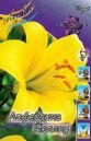 Лилия трубчатая ЙЕЛЛОУ ПЛАНЕТ (YELLOW PLANET), 5 шт. (I)