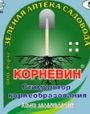 Корневин, 4 гр.