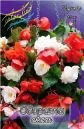 Бегония ОДОРАТА СМЕСЬ (ODORATA MIXED), 3 шт. (I)